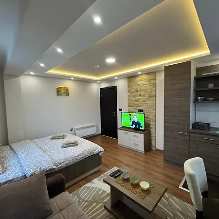 公寓 Glamur 科帕奥尼克