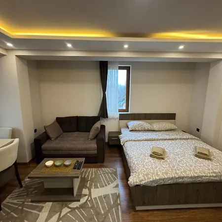 公寓 Glamur 科帕奥尼克