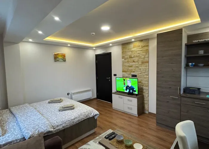 公寓 Glamur 科帕奥尼克