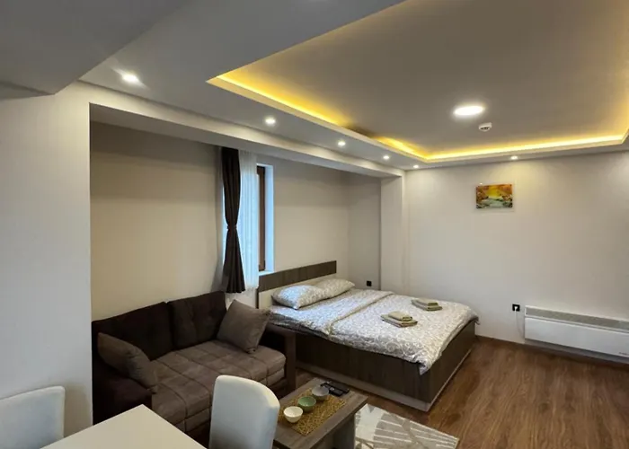 Glamur 公寓 科帕奥尼克