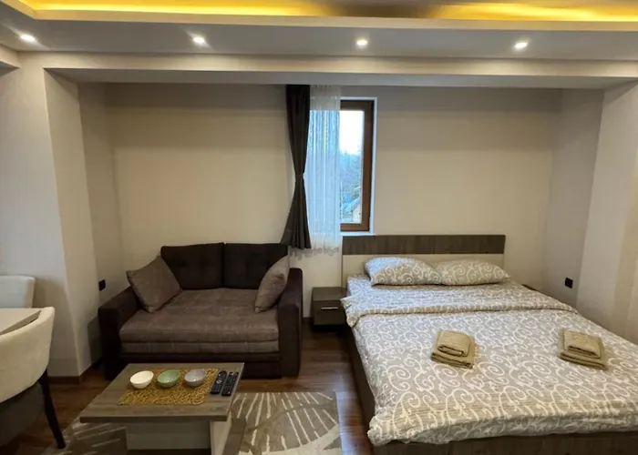 公寓 Glamur 科帕奥尼克