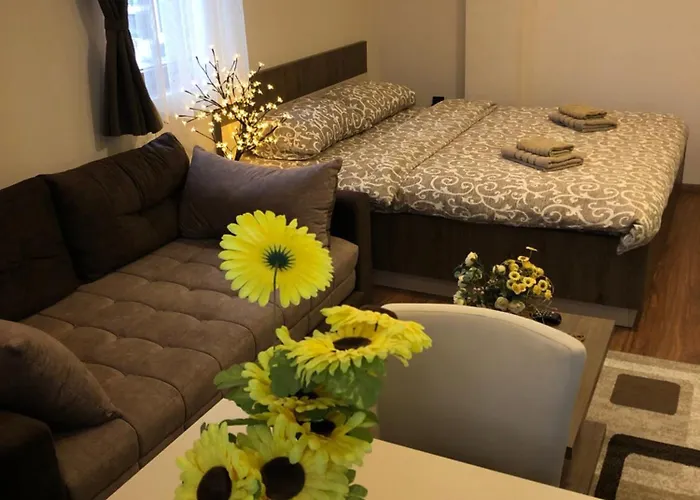 Glamur 科帕奥尼克