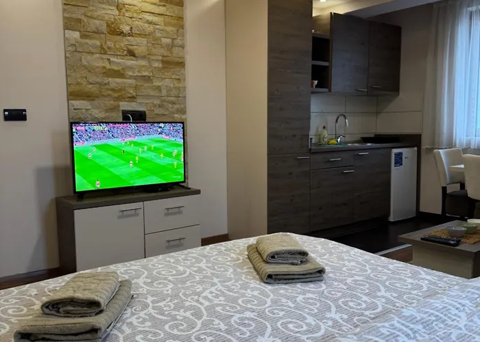 公寓 Glamur 科帕奥尼克