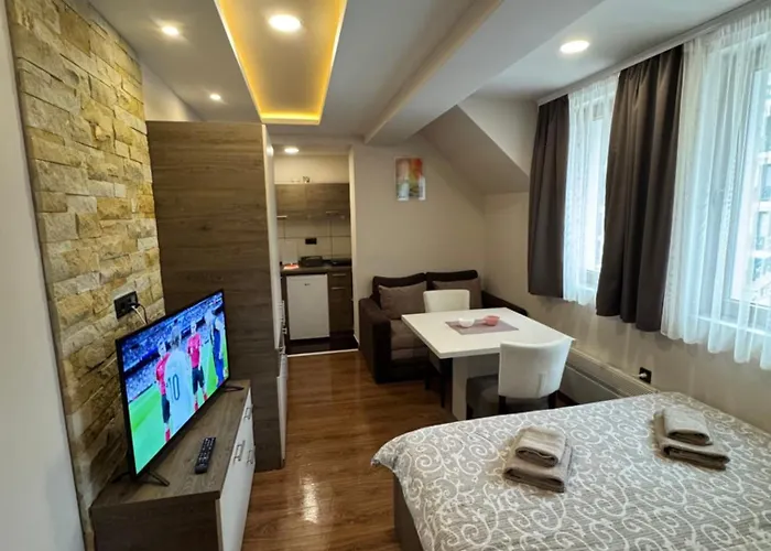 公寓 Glamur 科帕奥尼克