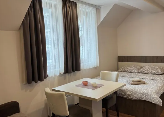 Glamur 科帕奥尼克