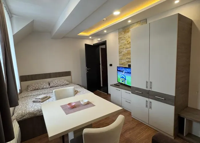 公寓 Glamur 科帕奥尼克