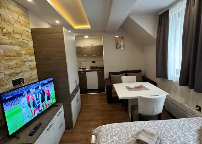 Glamur * 科帕奥尼克